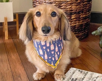 Bubbly Bandana for Dogs and Other Pets 