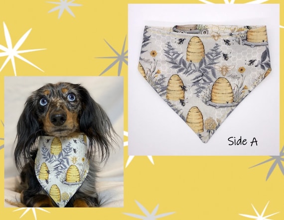 Sweet as Can Bee Bandana for Dogs and Other Pets 