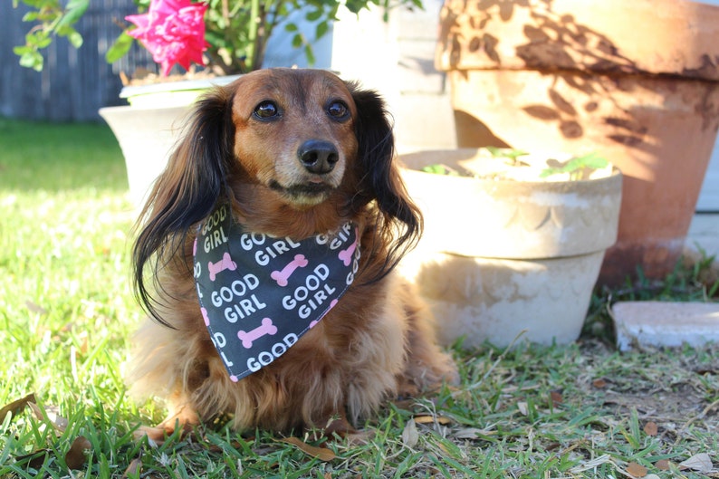 Good Girl Bandana for Dogs and Other Pets image 1