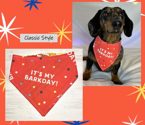 It's My Barkday Bandana for Dogs 