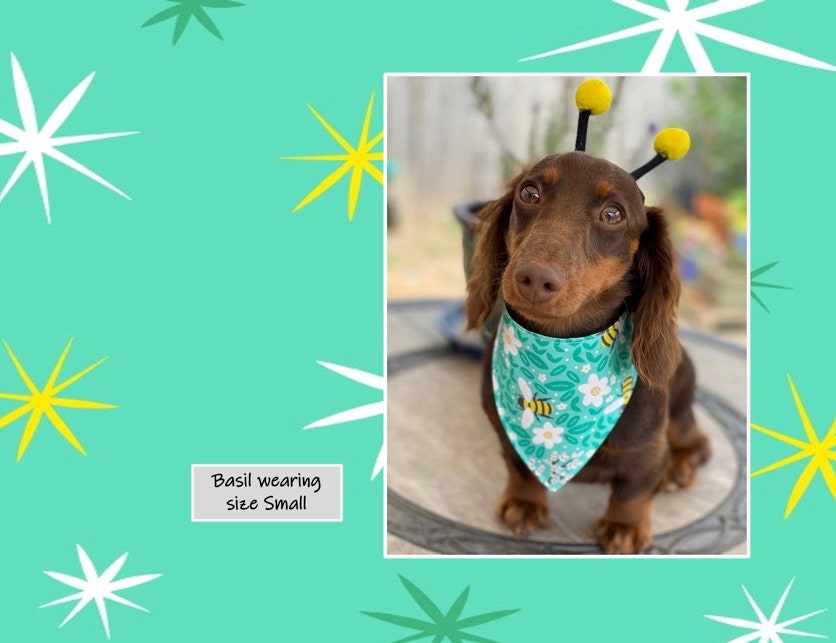 Bumble Blossoms Bandana for Dogs and Other Pets 