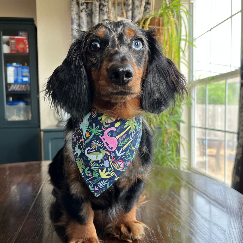 Jurassic Bandana for Dogs and Other pets image 1