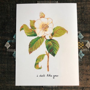 I Don&#39;t Like You Camellia Drawing