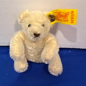 Op de afbeelding: Een kleine, crèmekleurige teddybeer met een bruine neus en zwarte ogen. Het heeft een geel label met "Steiff" en "0203/11". De beer zit op een blauw oppervlak.