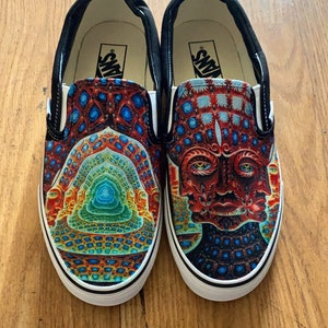 Sublime vans 2025
