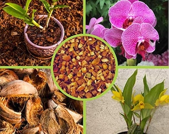 Chips d’écorce de noix de coco | Croissance des racines d’orchidée Anthurium Laceleaf