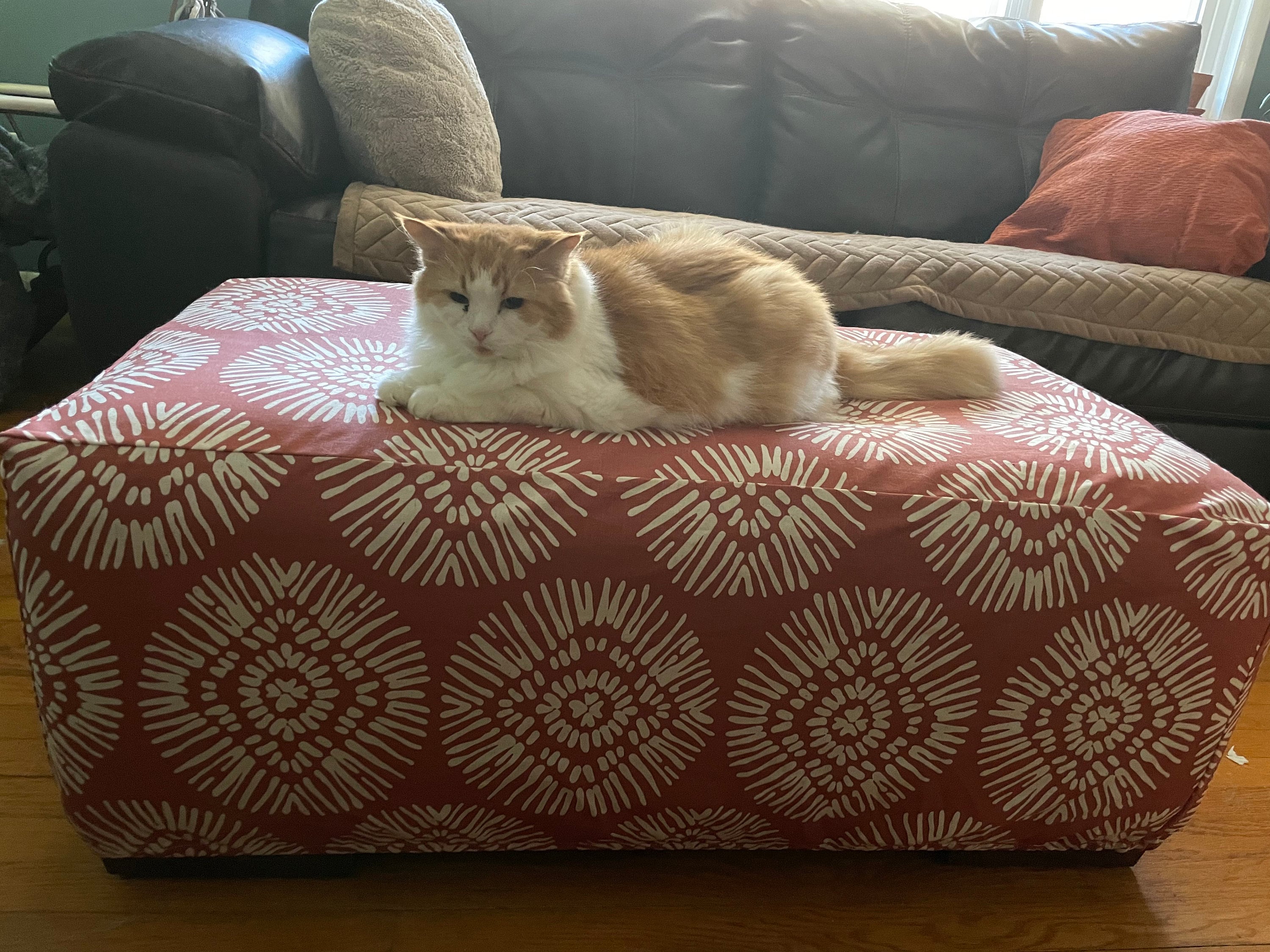 Camper ottoman cheap
