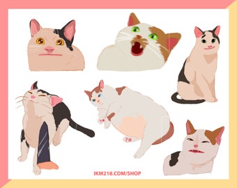 Meme Cat Sticker Sheet