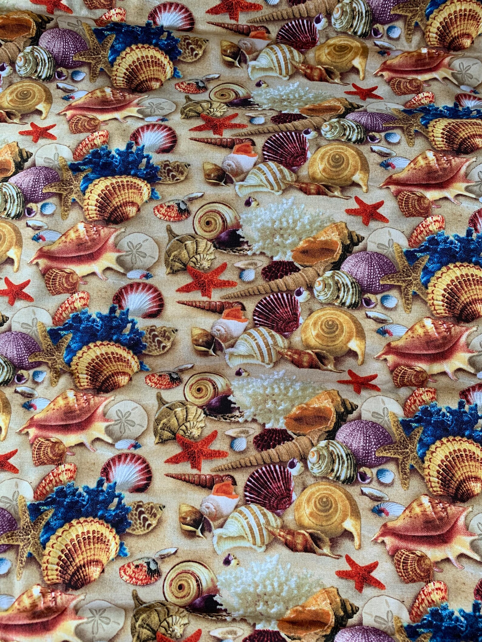 Seashells Allover Fabric by Elizabeth's Studio Fabrics Etsy