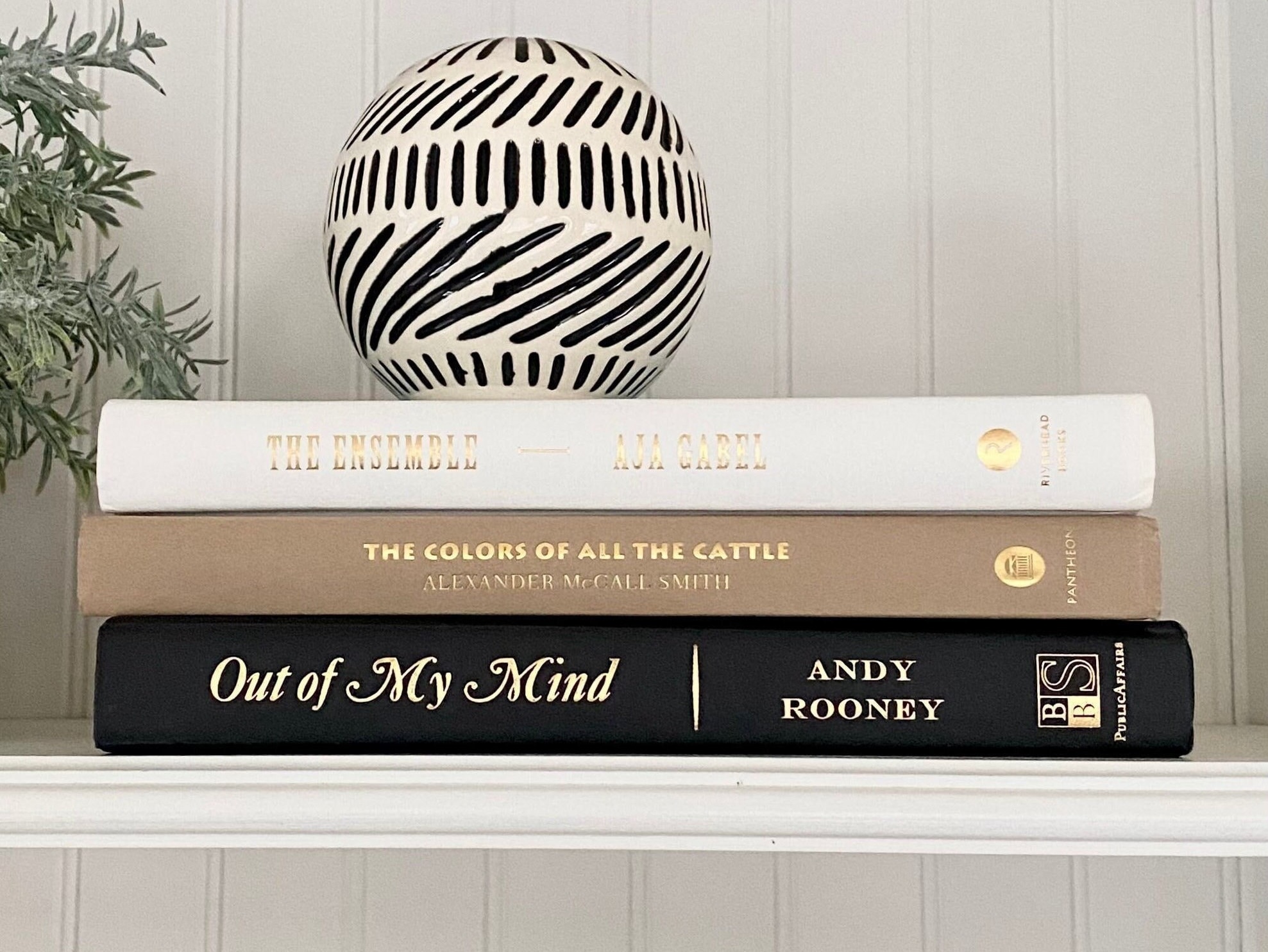 Black Tan White Book, Aesthetic Books for Fall Bookshelf