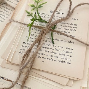 Pode incluir: Uma pilha de livros de bolso antigos amarrados com barbante e uma pequena planta verde. O texto na p&aacute;gina superior diz "I WISH you could see my castle... It is a..."}} </i>