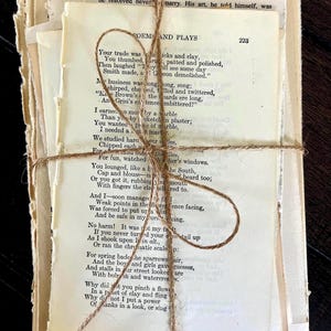 Vintage Book Page Bundle: Shabby Chic Wedding Decor, book decor centerpiece, vintage place setting, next chapter themed shower decor imagem 11