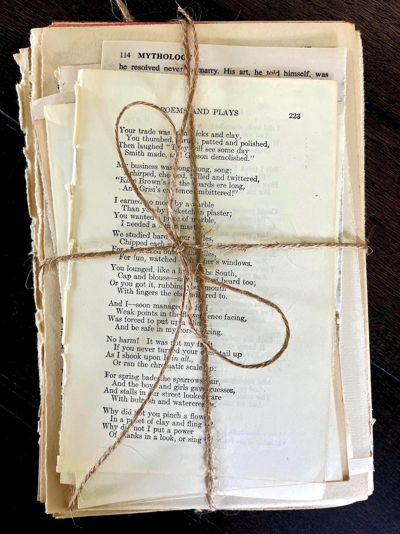 Vintage Book Page Bundle: Shabby Chic Wedding Decor, book decor centerpiece, vintage place setting, next chapter themed shower decor imagem 11
