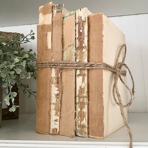 Stripped vintage book, farmhouse book bundle, vintage decor, shabby chic unbound book, bookshelf decor, rustic wedding centerpiece decor