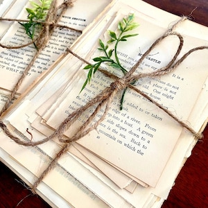 Vintage Book Page Bundle: Shabby Chic Wedding Decor, book decor centerpiece, vintage place setting, next chapter themed shower decor imagem 7