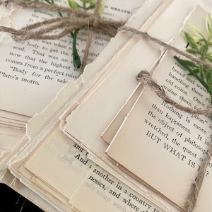 Pode incluir: Uma pilha de p&aacute;ginas de livros antigos amarradas com barbante e decoradas com folhas verdes. As p&aacute;ginas t&ecirc;m texto impresso, incluindo as frases "Body for the sake" e "BUT WHAT IS I?"