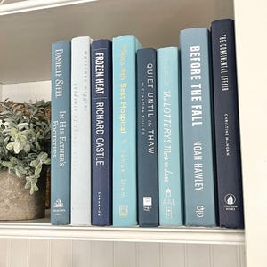 May include: A collection of hardcover books in various shades of blue and teal, arranged on a white shelf. Titles include "Before the Fall," "Frozen Heat," and "The Continental Affair." The spines display author names and book titles.