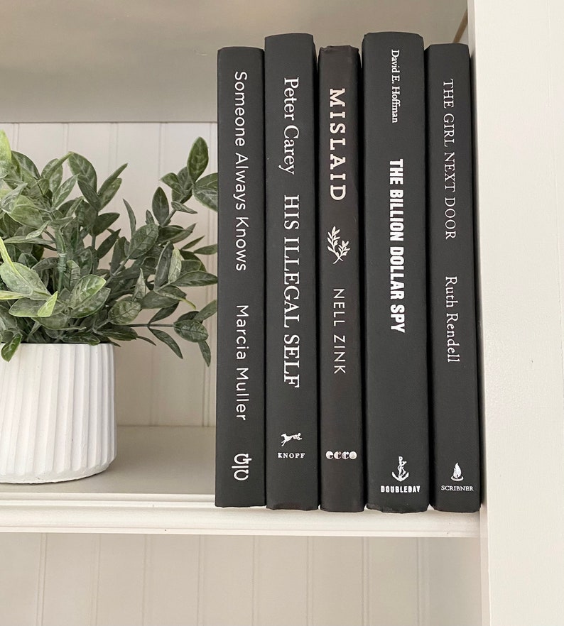 May include: A shelf displays five black books with white text. Titles include "Someone Always Knows," "His Illegal Self," "Mislaid," "The Billion Dollar Spy," and "The Girl Next Door." A white ceramic pot with a green plant sits to the left.