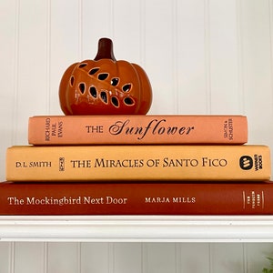 Fall Colored Staging Books: Warm Neutral Bookshelf Decor