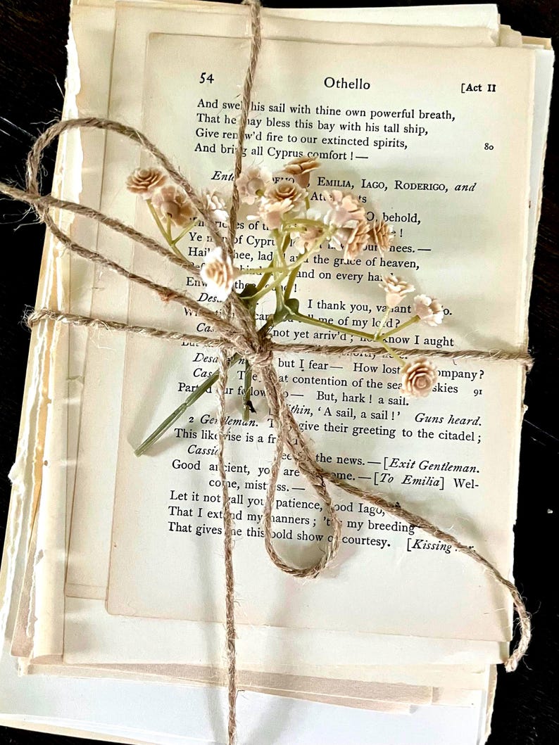 Vintage Book Page Bundle: Shabby Chic Wedding Decor, book decor centerpiece, vintage place setting, next chapter themed shower decor imagem 5