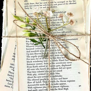 Vintage Book Page Bundle: Shabby Chic Wedding Decor, book decor centerpiece, vintage place setting, next chapter themed shower decor imagem 6