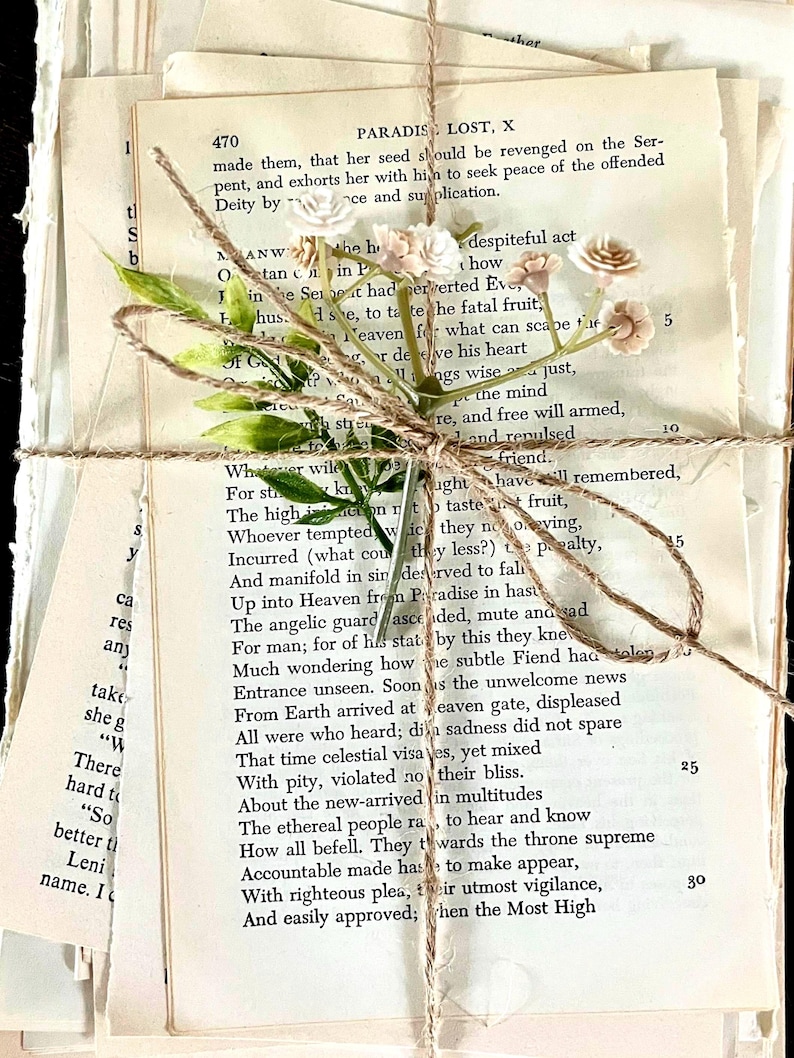 Vintage Book Page Bundle: Shabby Chic Wedding Decor, book decor centerpiece, vintage place setting, next chapter themed shower decor imagem 6