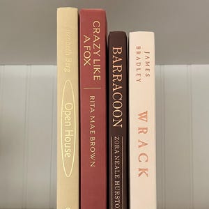 Beige brown burgundy books, decorative books, book stack, book collection, modern bookshelf, aesthetic book decor for home office library