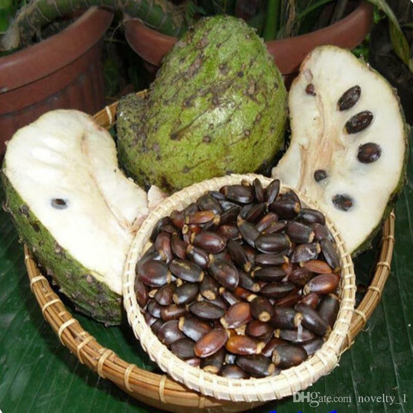 Диковинные овощи семена. Семена пепино рамзес. Семена экзотических растений. Семена экзотические магазины. Экзотические семена.