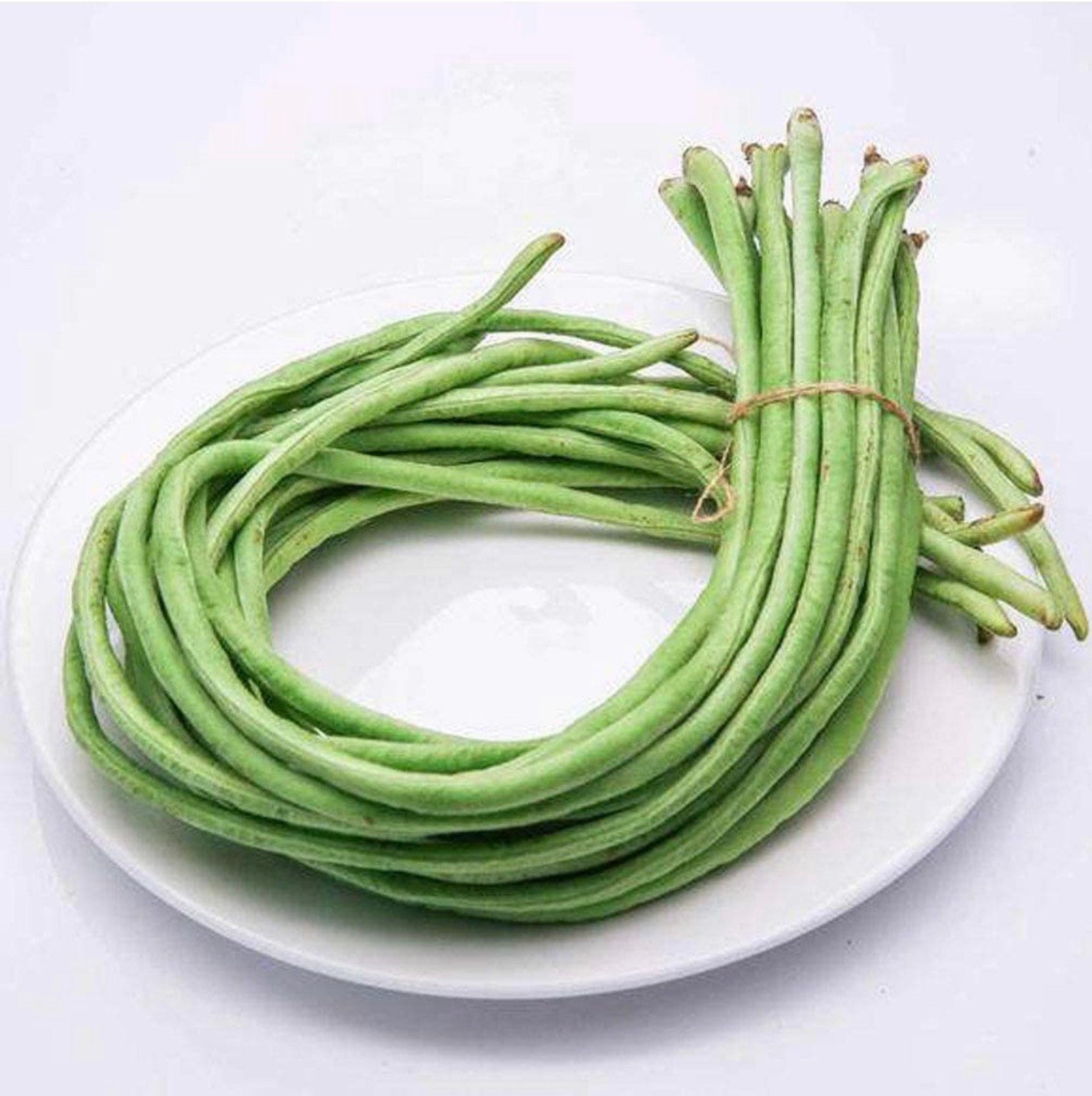 Yard Long Bean Seeds 20 seeds Etsy
