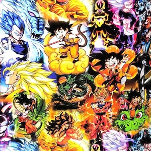 Book Cozy Padded Sleeve Cover Pouch Bag XL - Japanese Anime Dragon - Birthday Gift Wrap Teens Fans - Protect & Store Books Games DVDs