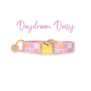 Girl dog collars etsy online