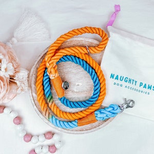 Rope Dog Leash, Orange and Blue Summer Dog Leash, Cute Dog Leash, Dog Walking, Tropical Dog Leash, Cotton Dog Leash - MACAW