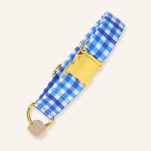 Handmade blue gingham dog collar with gold hardware and adjustable buckle closure.