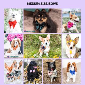May include: A collage of nine dogs, each wearing a medium-sized bow. The bows are in various colors and patterns, including red, green, pink, and plaid. The text "MEDIUM SIZE BOWS" is at the top of the image.