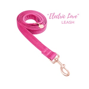 Pink velvet dog leash with gold hardware – soft, elegant, custom lead for weddings, girl dogs or daily luxury walks