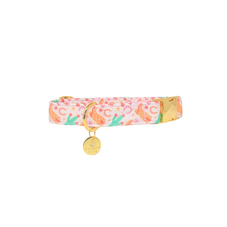 Hundhalsband med cowgirlstövlar, Groovy Western-hundhalsband, Martingale-optiskt hundhalsband, XL-hundhalsband, Bred hundhalsband, Unikt hundhalsband, | HOWDY! bild 2
