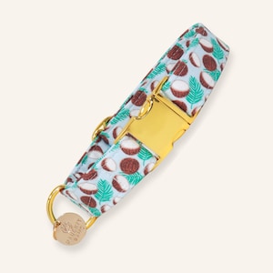 Coconut Dog Collar, Tropical  Summer Dog Collar, Beach Pet Collar -CABO