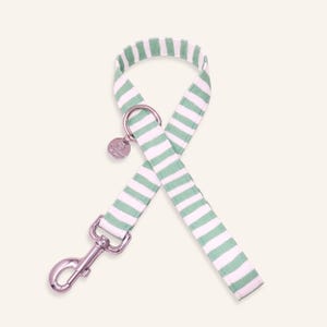 Guinzaglio per cani a righe color menta, guinzaglio per animali domestici a righe verdi, guinzaglio per cani preppy a molla, guinzaglio per cani pastello / MENTA CARAMELLA