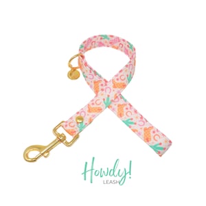 Cowgirl Dog Leash, Hats and Boots Groovy Female Traffic Dog Leash option, Small Dog Leash, Custom Dog Leash -  HOWDY!
