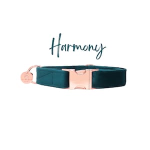 Dark Jade Green Velvet Dog Collar, Christmas Puppy Collar, Luxurious Winter Pet Neckwear, Boy or Girl Dog Collar, Small Dog Collar -HARMONY