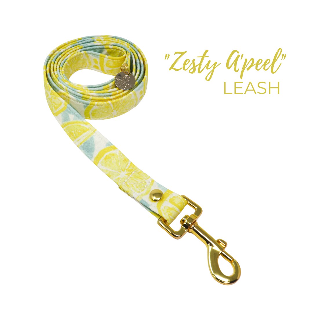Lemons Dog Leash Cute Girl or Boy Dog Leash Summer Dog Etsy