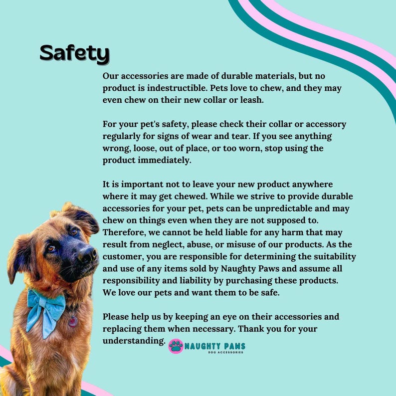 May include: Safety information for pet accessories. The text emphasizes the importance of checking pet accessories for wear and tear and the responsibility of pet owners for the safe use of products. The image features a brown dog with a blue bow tie.