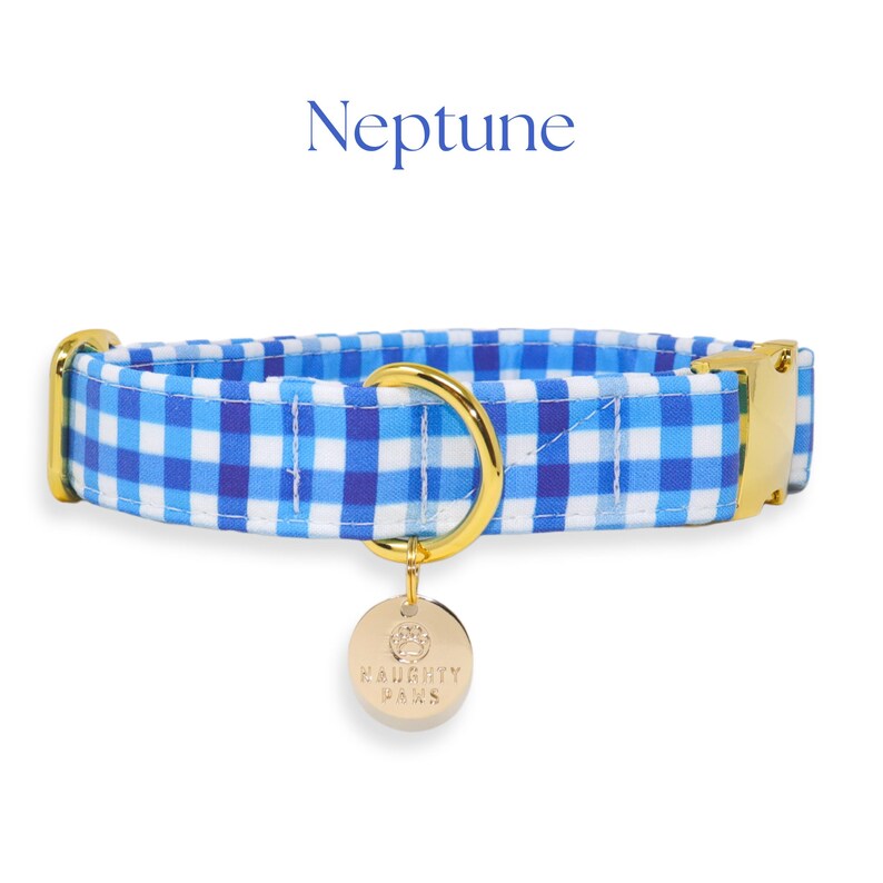 Adjustable blue check dog collar featuring a classic gingham pattern and gold hardware.