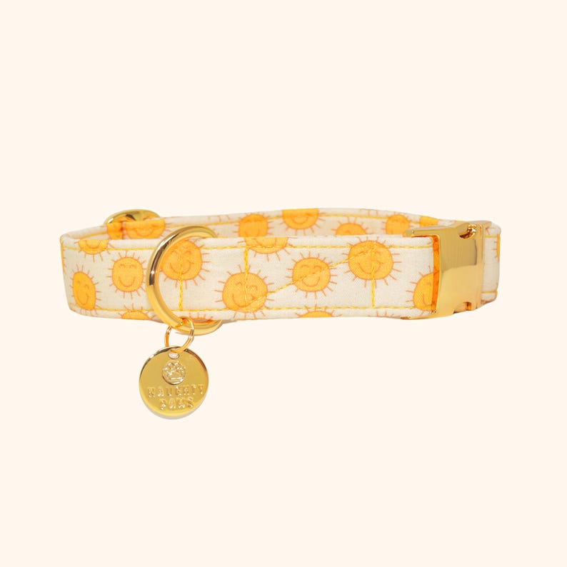 Sunshine Dog Collar, Retro Smiley Collar, Martingale or Buckle Pet Collar | GOLDEN GLOW image 3
