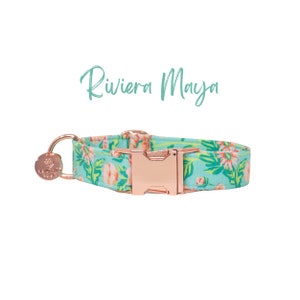 Collare per cani con motivo floreale per bambine, collare per cani femmina verde, collare in tessuto Martingala o collare piatto per cani, collare per cuccioli di piccola taglia, collare per cani XL - RIVIERA MAYA