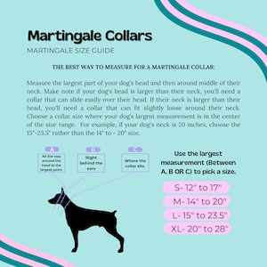 May include: A teal graphic with the text "Martingale Collars" and a size guide. The guide shows how to measure a dog's neck for a collar, with sizes ranging from 12" to 28". A black silhouette of a dog is also included.