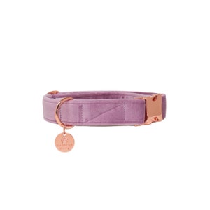May include: A light purple velvet dog collar with a rose gold buckle and a rose gold charm with the text "Rainy City Dogs".