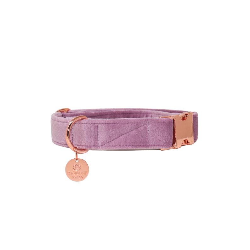 May include: A light purple velvet dog collar with a rose gold buckle and a rose gold charm with the text "Rainy City Dogs".