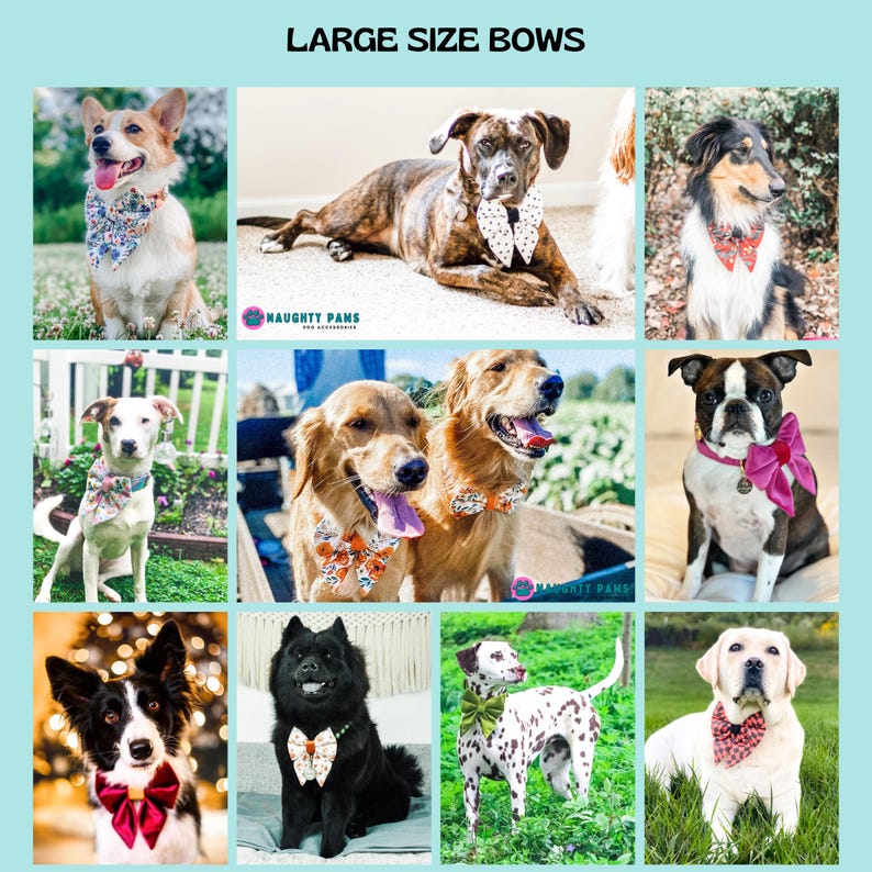 May include: A collage of dogs wearing various large-sized bows. The bows are in different colors and patterns, including floral, polka dots, and solid colors. The text "LARGE SIZE BOWS" is at the top of the image.