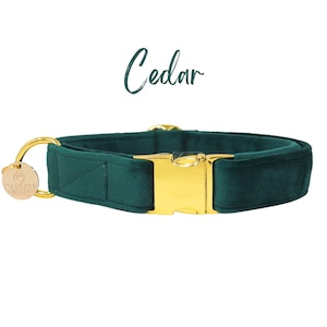 Forest Green Velvet Dog Collar, Christmas Dog Collar, Wedding Dog Collar, Holiday Collar, Small Dog Collar, Gold Hardware optional -CEDAR